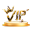 VIP专属客服